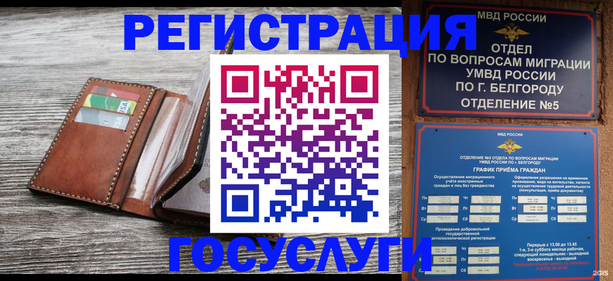 временная регистрация гарантия в Химках